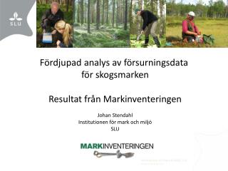 Fördjupad analys av försurningsdata för skogsmarken Resultat från Markinventeringen