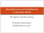 Neurobehavioural Rehabilitation in the Real World
