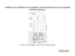 EZ Kvon et al. Nature 000 , 1-5 (2014) doi:10.1038/nature13395