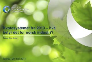 Kvotesystemet fra 2013 – hva betyr det for norsk industri?