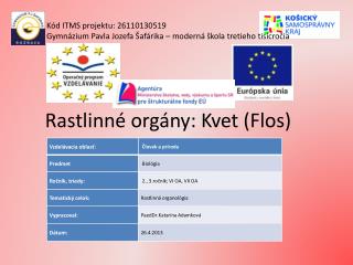 Rastlinné orgány: Kvet (Flos)