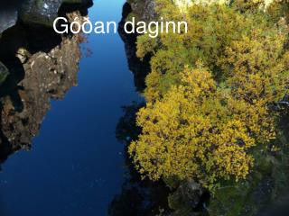 Góðan daginn