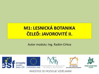 M1: LESNICKÁ BOTANIKA ČELEĎ: JAVOROVITÉ II.