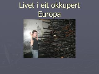 Livet i eit okkupert Europa