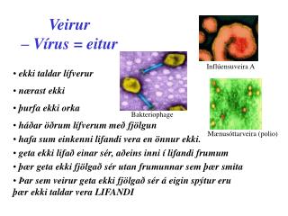Veirur – Vírus = eitur