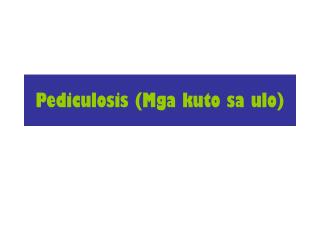 Pediculosis (Mga kuto sa ulo)