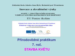 Přírodovědné praktikum 7. roč. STAVBA KVĚTU