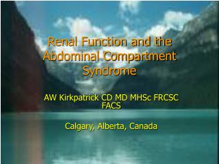 Renal Function and the Abdominal Compartment Syndrome