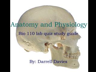 Anatomy and Physiology