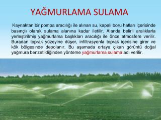 YAĞMURLAMA SULAMA