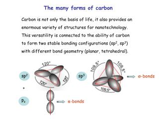 The many forms of carbon