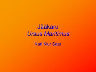 Jääkaru Ursus Maritimus