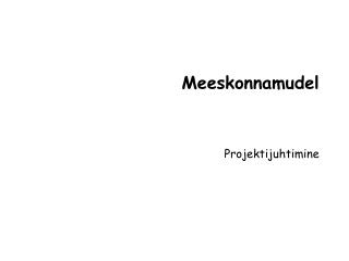 Meeskonnamudel