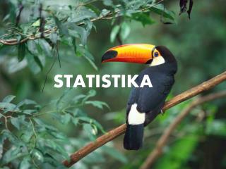 STATISTIKA