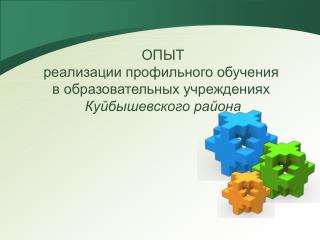 ОПЫТ реализации профильного обучения в образовательных учреждениях Куйбышевского района