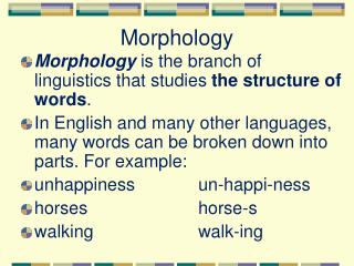 Morphology