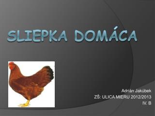 Sliepka domáca