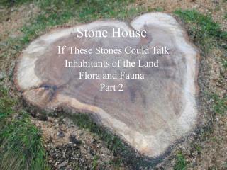 Stone House If These Stones Could Talk Inhabitants of the Land Flora and Fauna Part 2