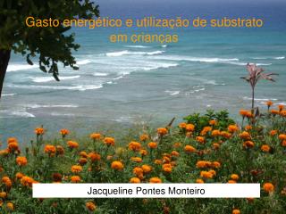 Gasto energético e utilização de substrato em crianças