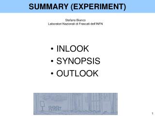 SUMMARY (EXPERIMENT)