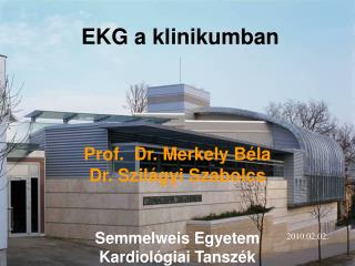 Prof. Dr. Merkely Béla Dr. Szilágyi Szabolcs Semmelweis Egyetem Kardiológiai Tanszék