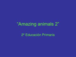 “Amazing animals 2”