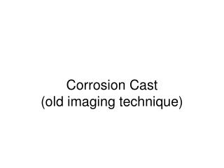 Corrosion Cast (old imaging technique)