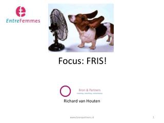 Focus: FRIS!