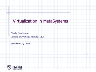 Virtualization in MetaSystems