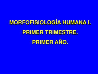 MORFOFISIOLOGÍA HUMANA I. PRIMER TRIMESTRE. PRIMER AÑO.