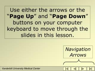 Use either the arrows or the “ Page Up ” and “ Page Down ” buttons on your computer keyboard to move through the slides