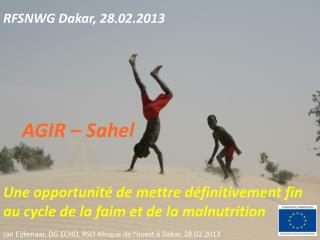 RFSNWG Dakar, 28.02.2013 AGIR – Sahel