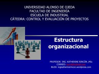 Estructura organizacional