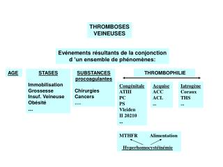 THROMBOSES VEINEUSES