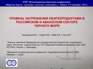 УРОВЕНЬ ЗАГРЯЗНЕНИЯ НЕФТЕПРОДУКТАМИ В РОССИЙСКОМ И АБХАЗСКОМ СЕКТОРЕ ЧЕРНОГО МОРЯ