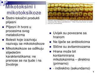 Mikotoksini i mikotoksikoze