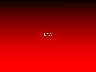 DNA