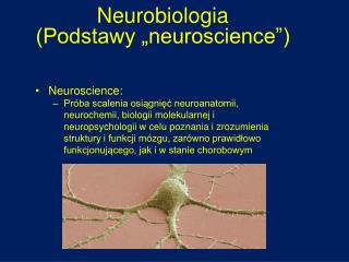 Neurobiologia (Podstawy „neuroscience”)