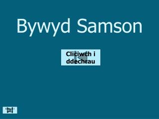 Bywyd Samson