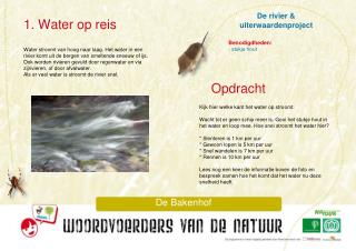 De rivier &amp; uiterwaardenproject