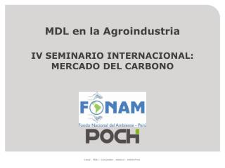 MDL en la Agroindustria IV SEMINARIO INTERNACIONAL: MERCADO DEL CARBONO