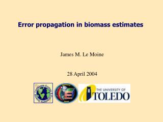 Error propagation in biomass estimates