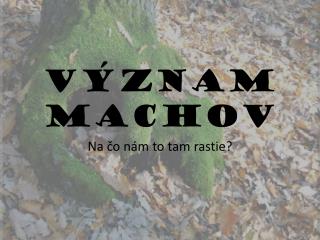 Význam machov