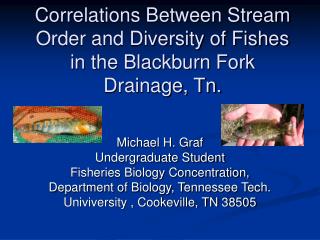 Correlations Between Stream Order and Diversity of Fishes in the Blackburn Fork Drainage, Tn.