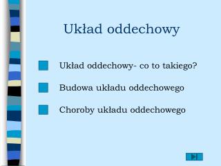 Układ oddechowy