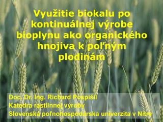 Využitie biokalu po kontinuálnej výrobe bioplynu ako organického hnojiva k poľným plodinám