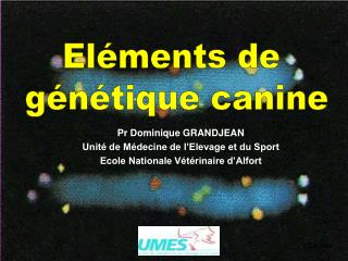 Pr Dominique GRANDJEAN Unité de Médecine de l’Elevage et du Sport