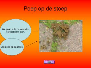 Poep op de stoep