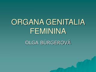 ORGANA GENITALIA FEMININA