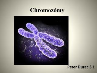 Chromozómy